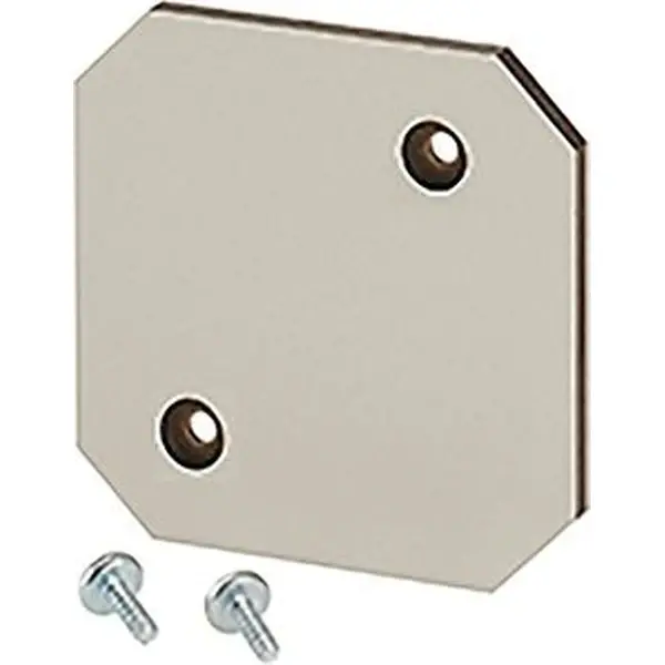 Hensel - Mounting plate for EB 02.. empty boxes, material thickness 4 mm - 1