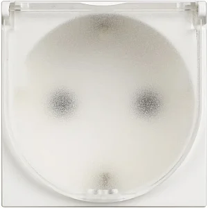 BTicino RW4141C Classia 2M 16A 250V White Socket Cover - BTICINO