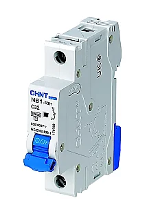 CHINT 186469 32A 2P C Curve 4.5kA MCB - CHINT