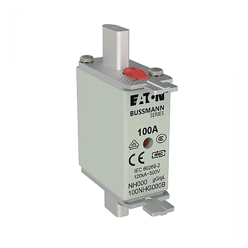100NHG000B - Fuse-link, LV, 100 A, AC 500 V, NH000, gL/gG, IEC, dual indicator, live gripping lugs - 1