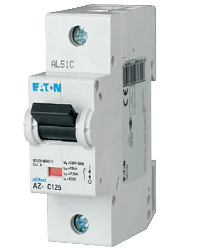 174487 - Miniature circuit breaker (MCB), 100A, 1p, type B characteristic - 1