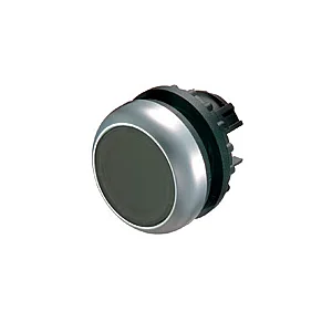 216613 - Pushbutton, RMQ-Titan, Flat, maintained, black, Blank, Bezel: titanium - Eaton