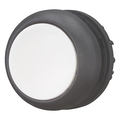 216616 - Pushbutton, RMQ-Titan, Flat, maintained, White, Blank, Bezel: black - 1
