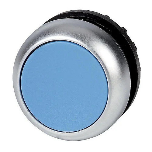216623 - Pushbutton, RMQ-Titan, Flat, maintained, Blue, Blank, Bezel: titanium - 1