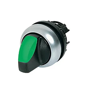 216837 - Illuminated selector switch actuator, RMQ-Titan, With thumb-grip, momentary, 3 positions, green, Bezel: titanium - Eaton