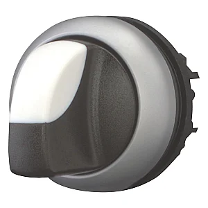 216867 - Changeover switch, RMQ-Titan, With thumb-grip, maintained, 2 positions, Bezel: titanium - Eaton