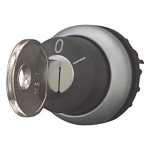 216887 - Key-operated actuator, RMQ-Titan, Key operated, maintained, Not suitable for master key systems, 2 positions, Key withdrawable in position 0, I, Bezel: titanium - Eaton