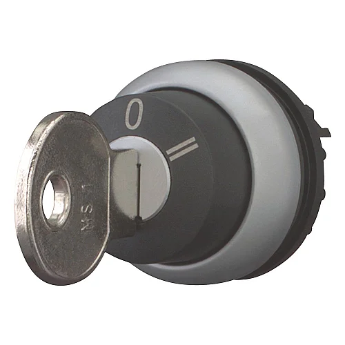216922 - Illuminated pushbutton actuator, RMQ-Titan, Flush, momentary, White, Blank, Bezel: titanium - 1