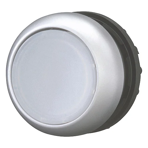216927 - Illuminated pushbutton actuator, RMQ-Titan, Flush, momentary, green, Blank, Bezel: titanium - 1