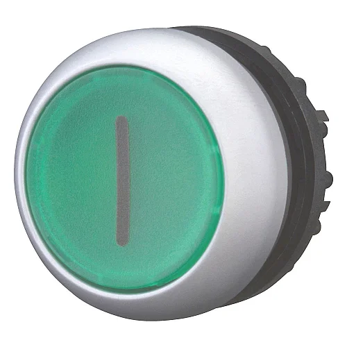 216938 - Illuminated pushbutton actuator, RMQ-Titan, Flush, momentary, green, inscribed, Bezel: titanium - 1