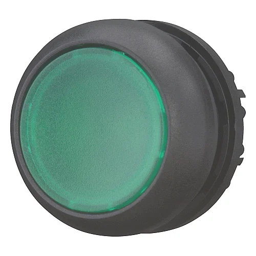 216949 - Illuminated pushbutton actuator, RMQ-Titan, Flush, maintained, green, Blank, Bezel: black - 1