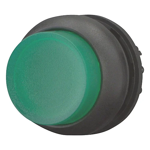 216970 - Illuminated pushbutton actuator, RMQ-Titan, Extended, momentary, green, Blank, Bezel: black - 1