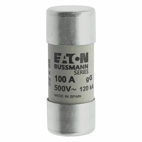 C22G100 - Fuse-link, LV, 100 A, AC 500 V, 22 x 58 mm, gL/gG, IEC - 1