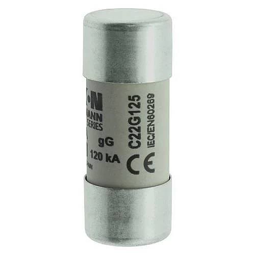 C22G125 - Fuse-link, LV, 125 A, AC 400 V, 22 x 58 mm, gL/gG, IEC - 1