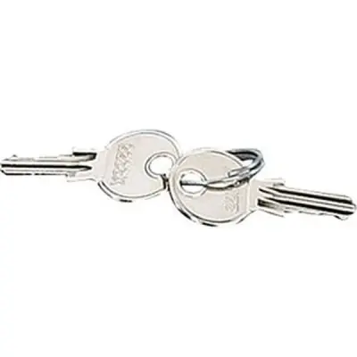 Spare Key For Door Lock In Enystar Enclosures. (2-piece Set) - Hensel