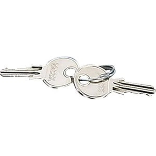 Hensel - Spare key for door lock in ENYSTAR enclosures. (2-piece set) - Hensel