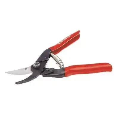 8691150781035 - Izeltas