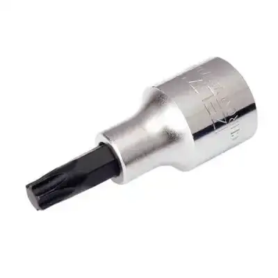 Izeltas - 14000000197 - TORX BIT SCKT T40 - 1
