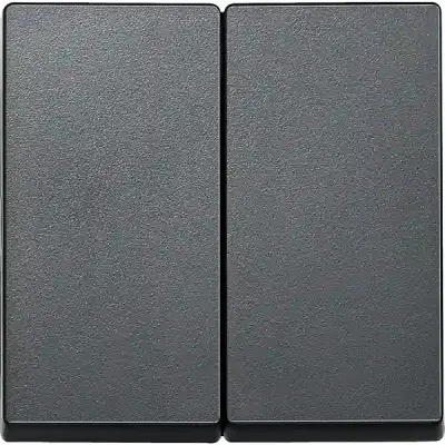 433514 - Rocker For Two-circuit Switch - 1