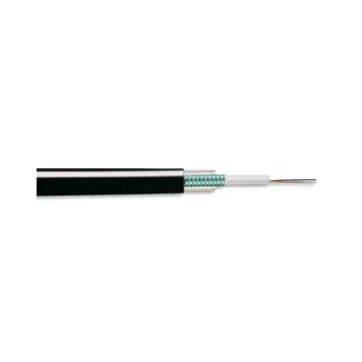 Schneider Electric - ACTUDUTLA06SM9 - Actassi FO Unitube Light-Arm cable SM 6f - 1