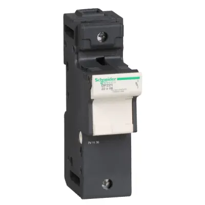 Schneider Electric - DF221 - TeSys fuse carrier 1P 125A - 1