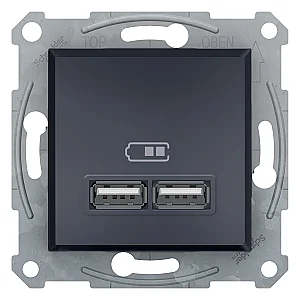 Asfora Double USB Type - A 2.1 A Anthracite - EPH2700271 - Schneider Electric