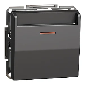 Asfora Mech. Keycard Switch Anthracite - EPH6200171 - Schneider Electric