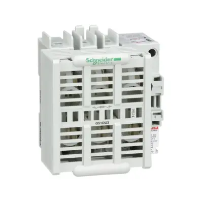 Schneider Electric - GS1DU3 - FUSE SWITCH 3X30A J - 1