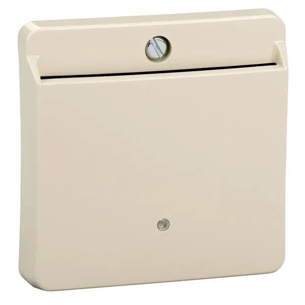 Schneider Electric - MTN315644 - Merten Sys-M Keycard Switch Plate White - 1
