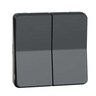 Schneider Electric - MUR35019 - Mureva double two-way switch multi, grey - 1