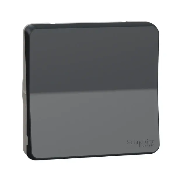 Schneider Electric - MUR35027 - Mureva push-button multi, grey - 1
