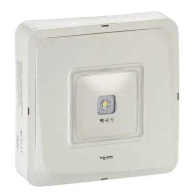 Schneider Electric - OVA48951 - Smartbeam sıva-üstü, 3sa, sürekli, 220lm - 1