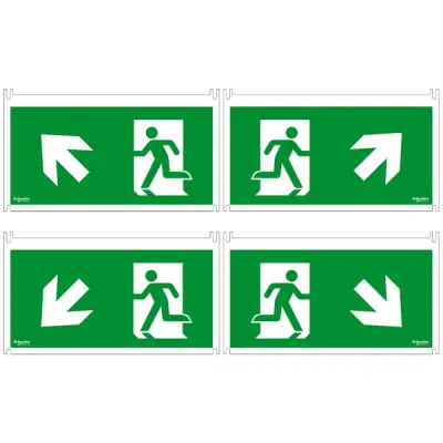 Schneider Electric - OVA53164 - 4SC45°VT EXW-SMTLD - 1