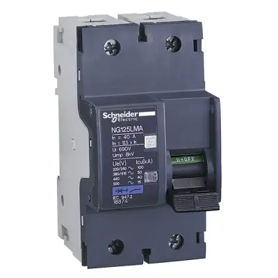 18870 - Ng125l 2p 10a Ma - Schneider Electric