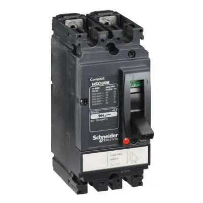 29606 - Ns100n Tm50d 2p2t - Schneider Electric