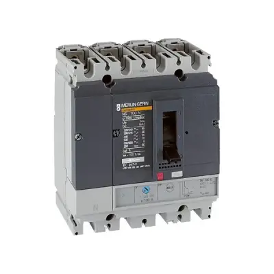 29640 - Ns100n Tm100d 4p3t - Schneider Electric