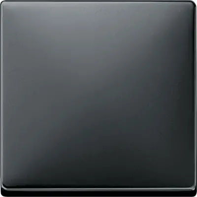 412169 - Rocker, Black Grey, System Design - Schneider Electric