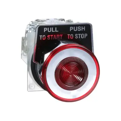 9001KR9RH13 - 30mm Pushbutton - Schneider Electric