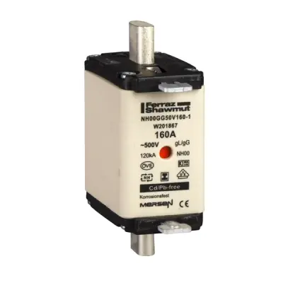 DF2FGN80 - Bicakli Sigorta 80a 00 - Schneider Electric