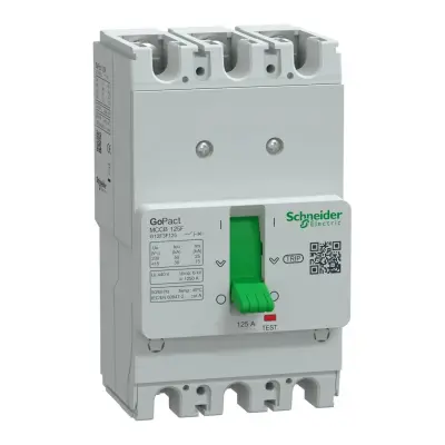 G12F3F125 - Schneider Electric