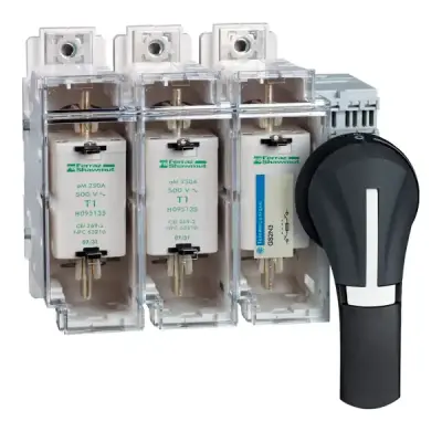 GS2AH530 - Ext Front Handle 100..400a Ip65 Black - Schneider Electric