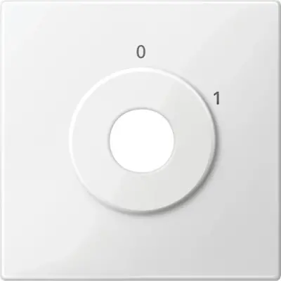 MTN312819 - Cen.pl. W. Mark. F. 2pos Key Tpb Pw Sysm - Schneider Electric