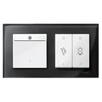 MTN315619 - Merten Sys-m Keycard Sw. Plate Plr Wht - Schneider Electric
