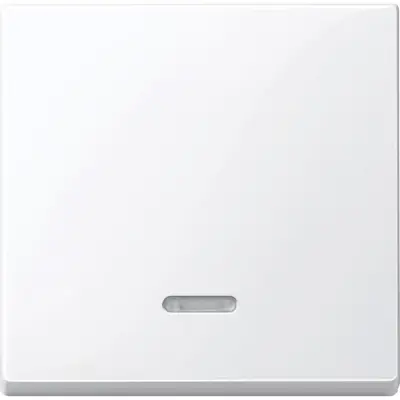 MTN436025 - Merten Sys-m Rocker Plate W/window Act W - Schneider Electric