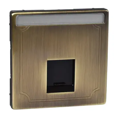 MTN466443 - Merten Sys-d Se 1xrj45 Insrt Plt Ant Brs - Schneider Electric