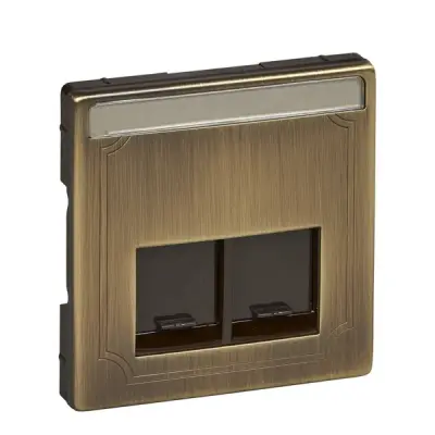 MTN466643 - Merten Sys-d Se 2xrj45 Insrt Plt Ant Brs - Schneider Electric