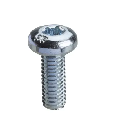 NSYST30M6 - Torx Screw T30 (m6x16) - Schneider Electric