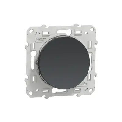 S540206 - Push Button No 10a Anthracite - Schneider Electric