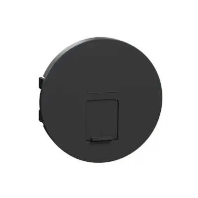 S540671 - Rj45 Socket Center Plate Anthracite - Schneider Electric