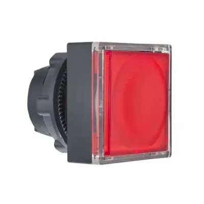 ZB5CW343 - Illuminated Pushbutton He - Schneider Electric